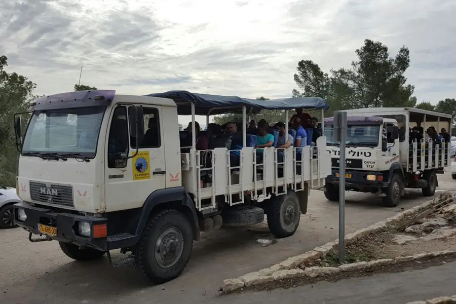 Safari jeep adventure through Yatir Forest
