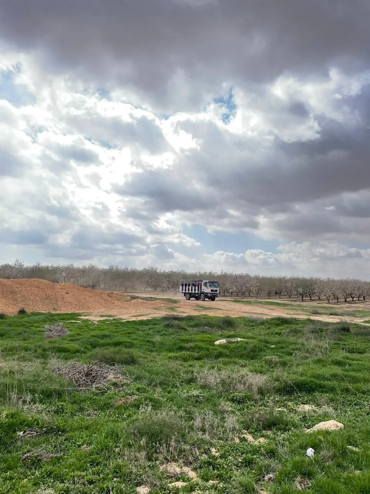 Jeep convoy through the Negev desert