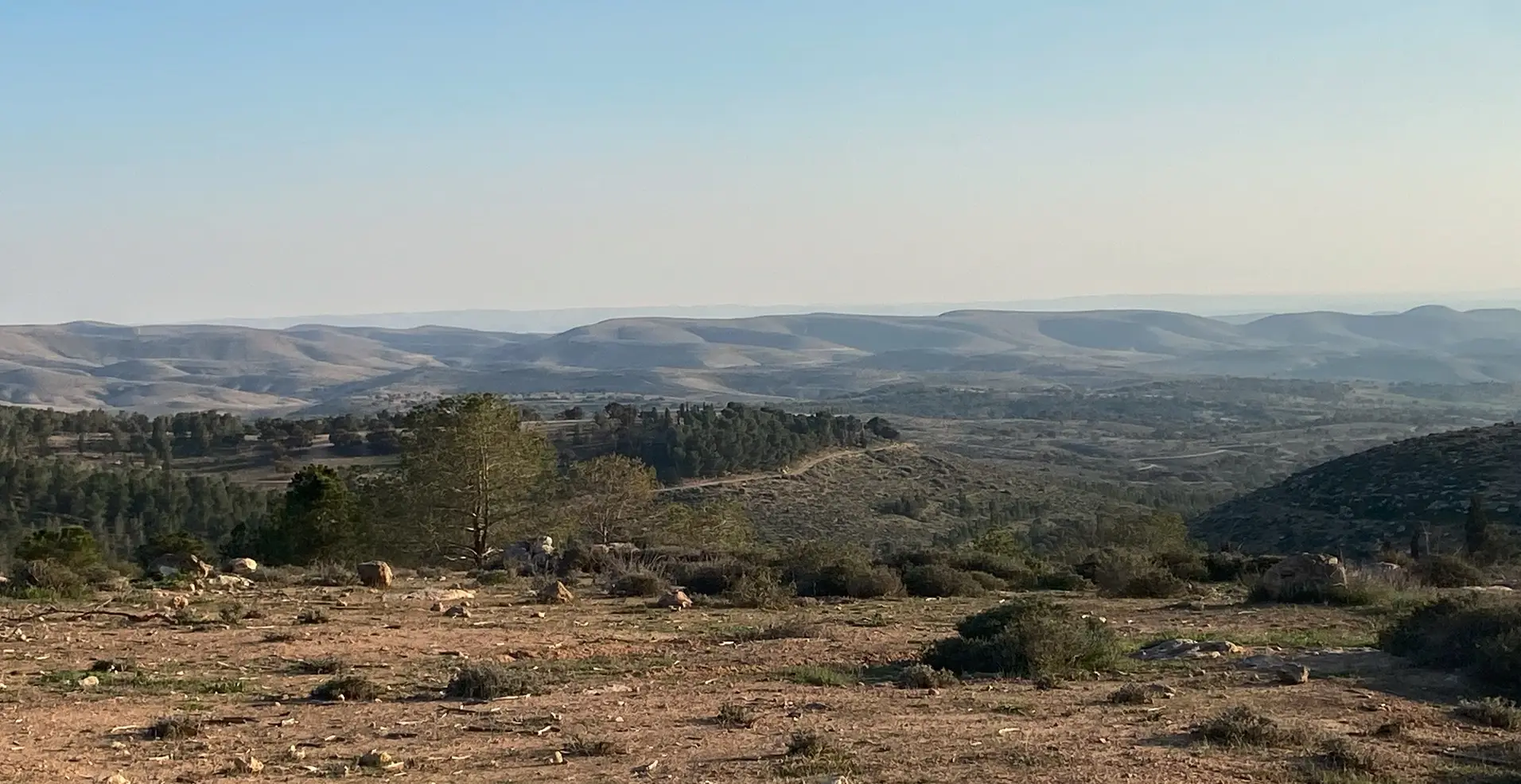 Panoramic view of the rolling Yatir Forest mountains stretching to the horizon