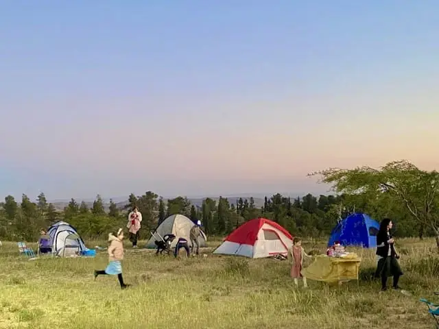 Campsite in the Yatir Forest