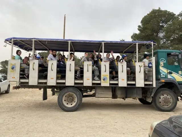 Safari jeeps touring archaeological sites in Yatir Forest