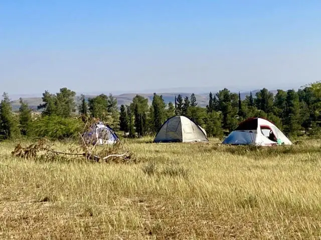 Camping tents nestled among the trees of the Yatir Forest near the resort site